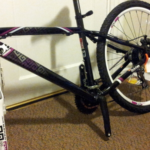 2015 Diamondback womens Black, Purple, and White