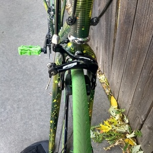 Unknown Green Steel Frame with Custom Paint Green
