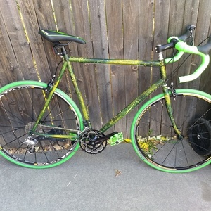 Unknown Green Steel Frame with Custom Paint Green