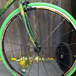 Unknown Green Steel Frame with Custom Paint Green