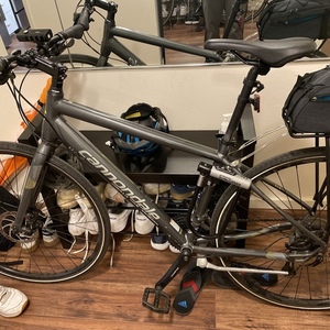 2019 Cannondale V8 Quick 5 Disc Silver, gray or bare metal