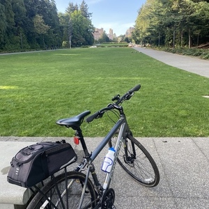 2019 Cannondale V8 Quick 5 Disc Silver, gray or bare metal
