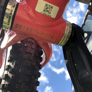 2018 Salsa Timberjack 27+ Pink