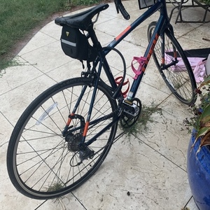 2017 Trek Lexa 2 Blue
