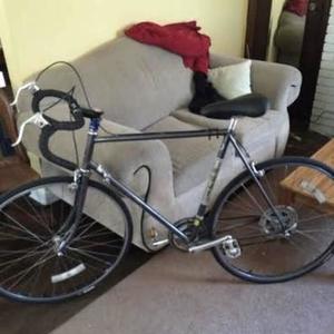 Fuji Del Rey (Step Over) Silver, gray or bare metal