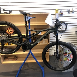 2021 Specialized Levo Green