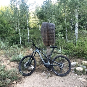 2021 Specialized Levo Green