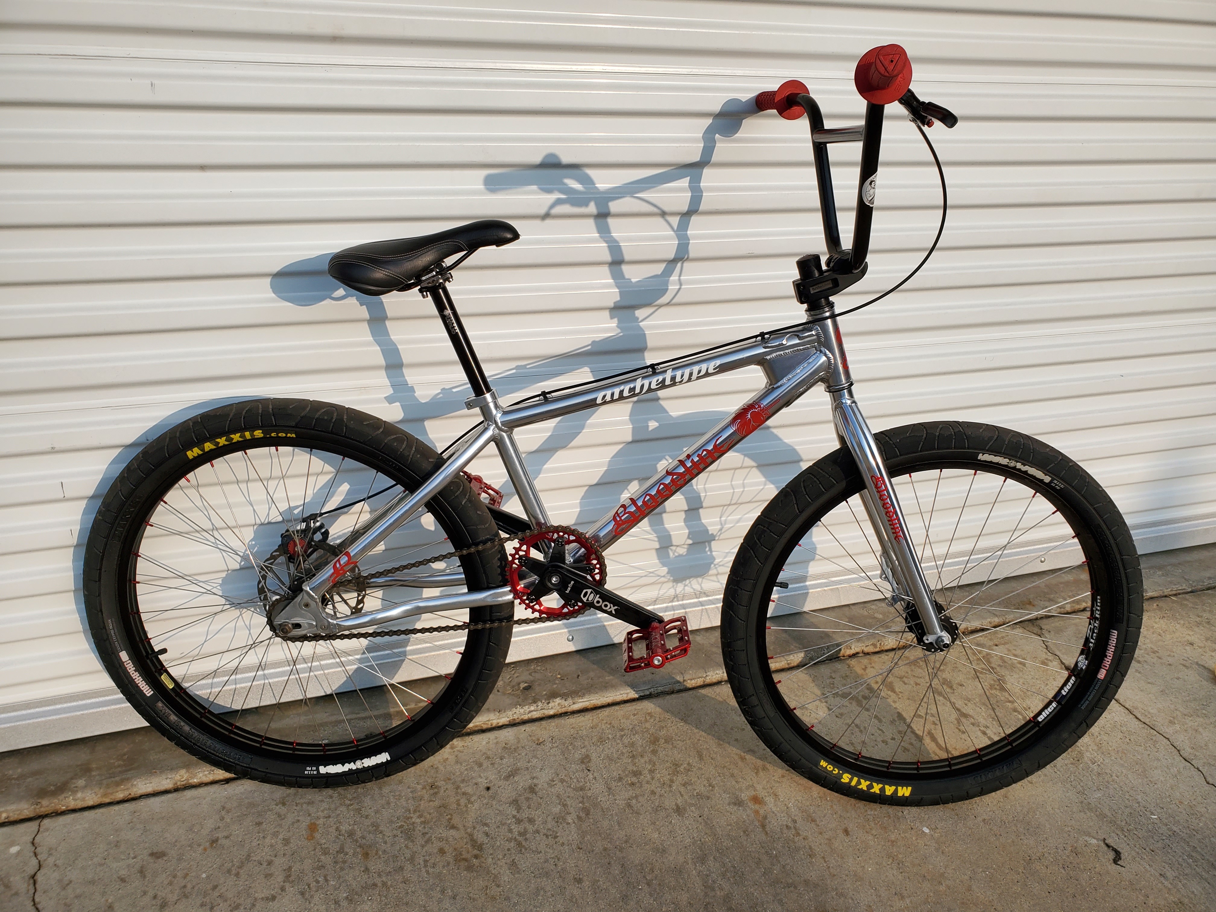 2009 Leader Bikes Archetype Bloodline