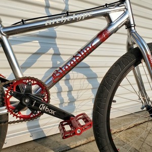 2009 Leader Bikes Archetype Bloodline Silver, gray or bare metal