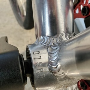 2009 Leader Bikes Archetype Bloodline Silver, gray or bare metal