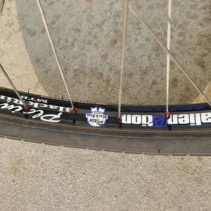 2009 Leader Bikes Archetype Bloodline Silver, gray or bare metal