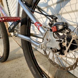 2009 Leader Bikes Archetype Bloodline Silver, gray or bare metal