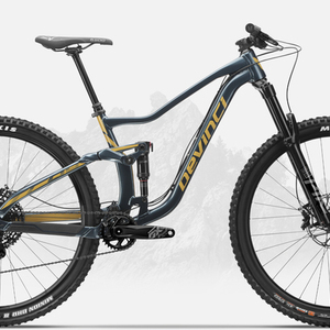 2020 Devinci Troy 29 NX 12s Blue