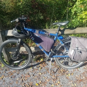 Diamondback Response Blue