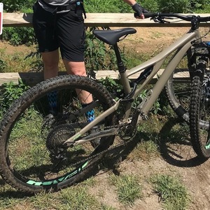2018 Specialized stumpjumper sp comp 29 Brown and Green