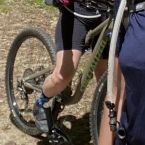 2018 Specialized stumpjumper sp comp 29 Brown and Green