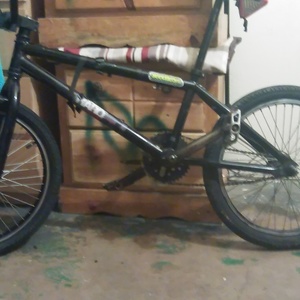 2007 Haro F1