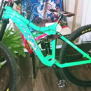 2016 LENZ SPORT PBJ Green