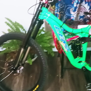 2016 LENZ SPORT PBJ Green