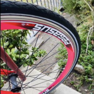 Top road power SN 110104262 Red
