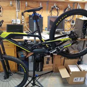 2017 YT Tues Black and Yellow or Gold