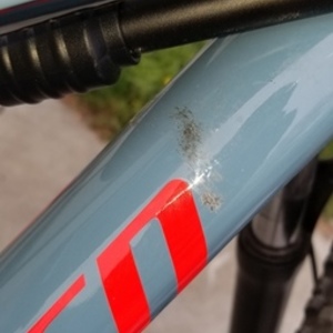 2019 Specialized Rockhopper Blue and Orange