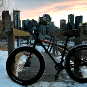 2020 Northrock XC00 Green