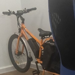 2016 Rad Power Bikes Rad Wagon Orange