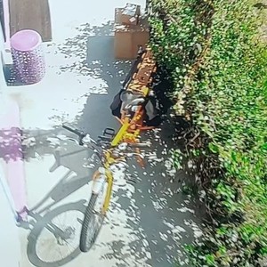 2016 Rad Power Bikes Rad Wagon Orange
