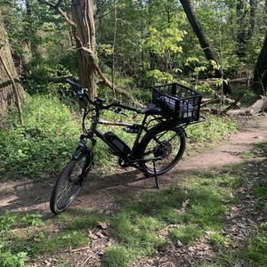 2019 Rad Power Bikes RadCity Silver, gray or bare metal