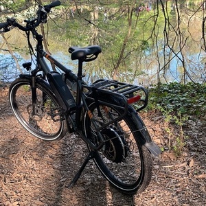 2019 Rad Power Bikes RadCity Silver, gray or bare metal