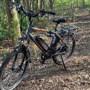 2019 Rad Power Bikes RadCity Silver, gray or bare metal
