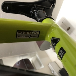 2019 Specialized TURBO LEVO Green
