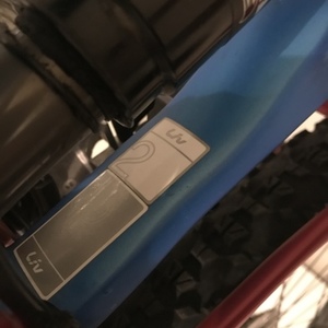 2017 Liv Lust Advanced 2 Blue