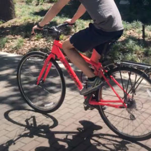 2019 Cannondale M Red