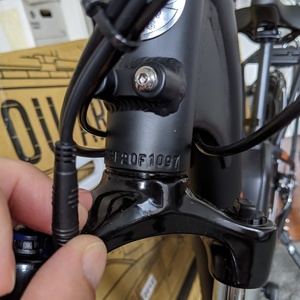 2020 Rad Power Bikes RadCity Step-Thru 3 Black