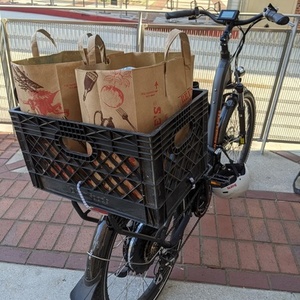 2020 Rad Power Bikes RadCity Step-Thru 3 Black