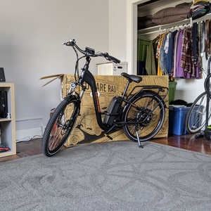 2020 Rad Power Bikes RadCity Step-Thru 3 Black