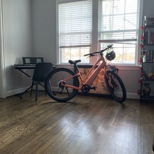 2019 Specialized Como Pink