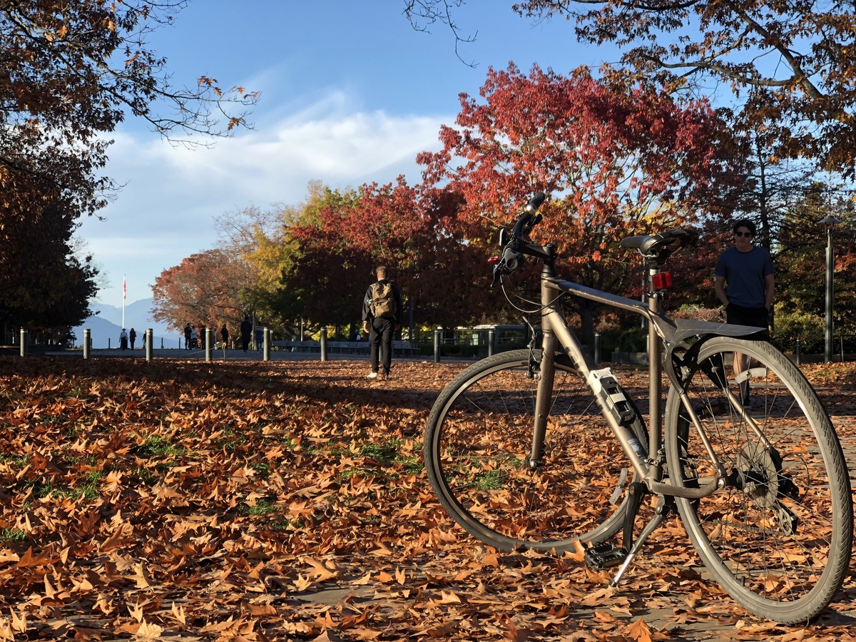 Bike photo