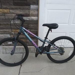 2018 Nishiki Heat treated Hi- Ten steel Silver, gray or bare metal