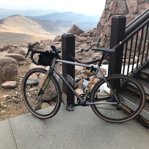 2019 Niner RLT 9 Silver, gray or bare metal
