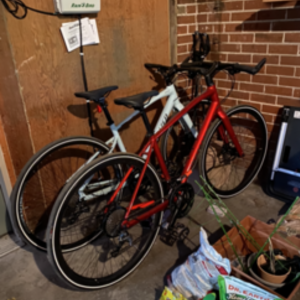 Specialized Blue