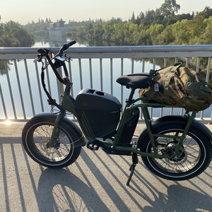 2020 Rad Power Bikes Rad Runner 1 Green