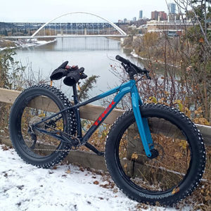 2020 Trek Farley 5 Teal