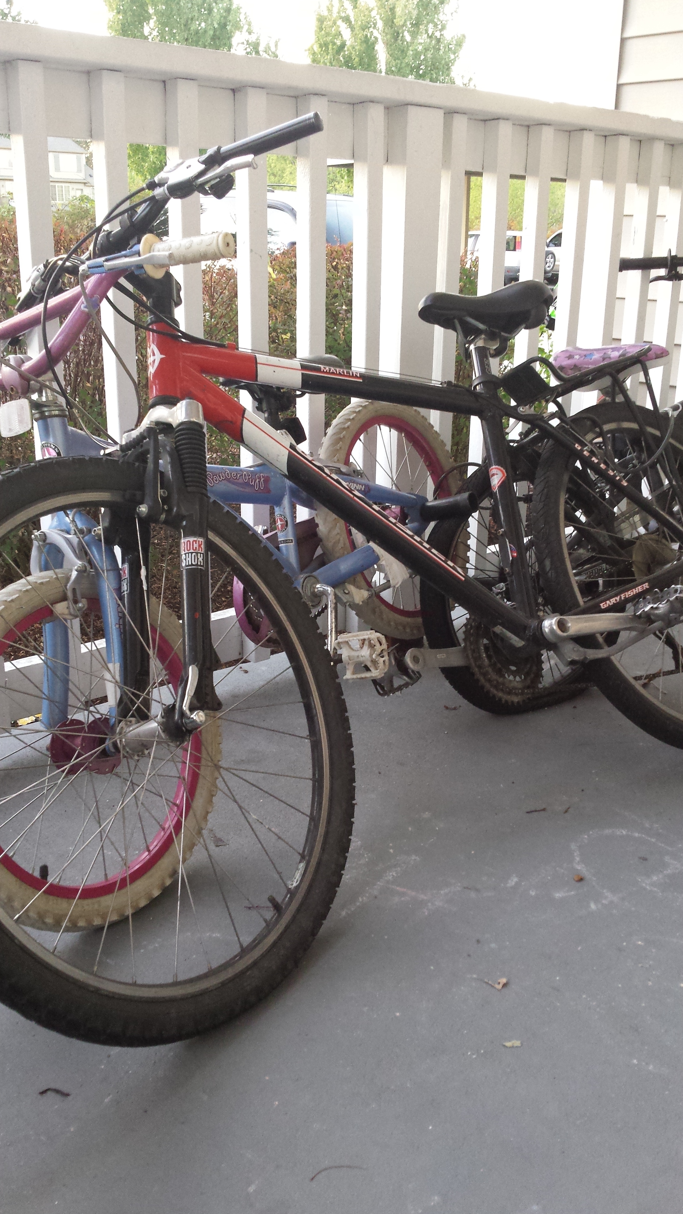 2001 gary fisher marlin