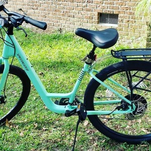 2020 Specialized Roll Green