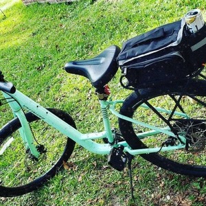 2020 Specialized Roll Green
