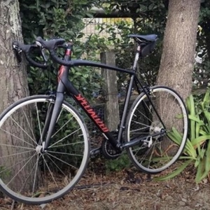 2015 Specialized Black