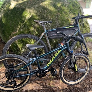 2020 Kona Honzo Silver, gray or bare metal